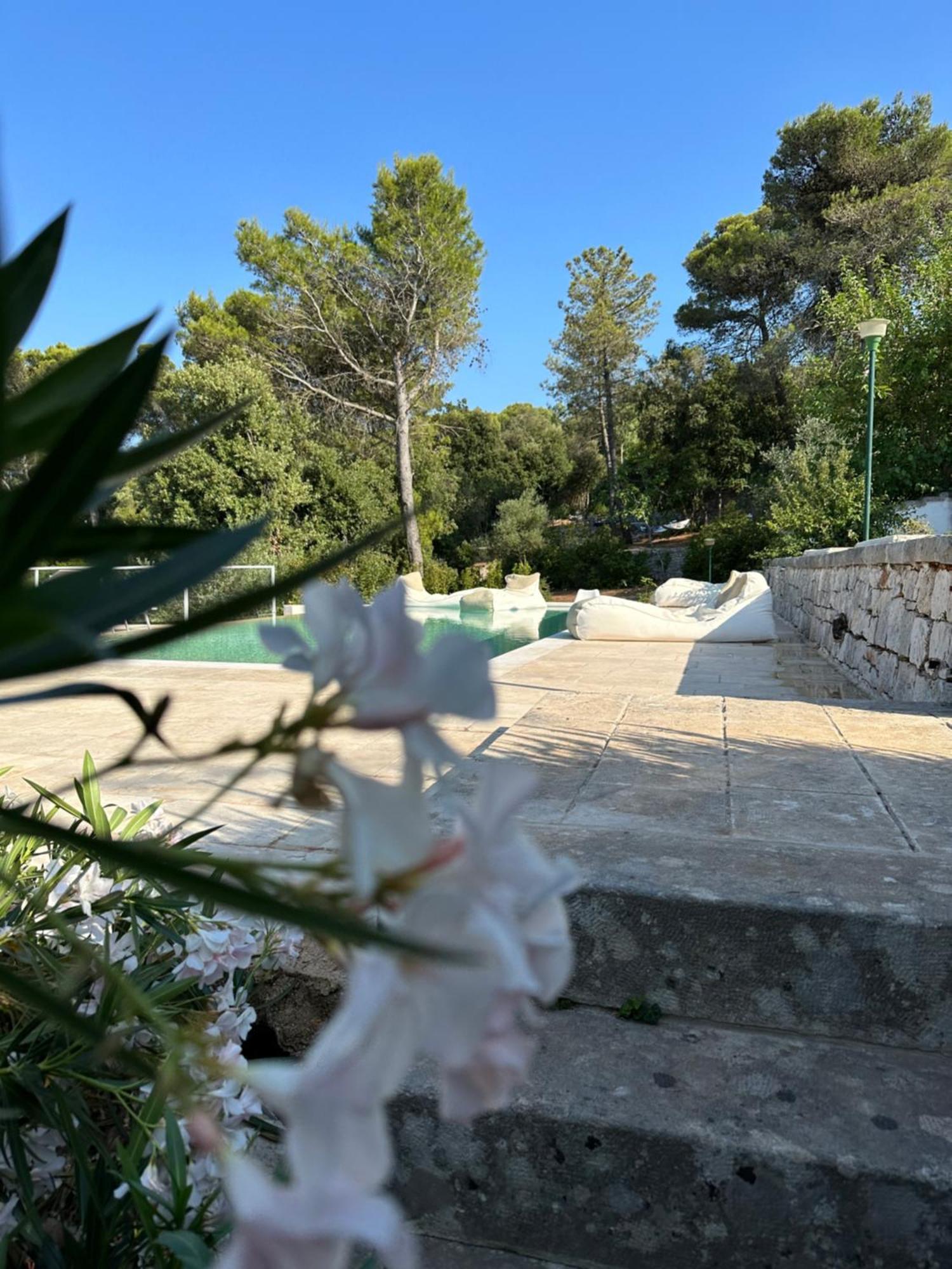 Bed and Breakfast Il Trullo Di Simona Locorotondo Exterior foto