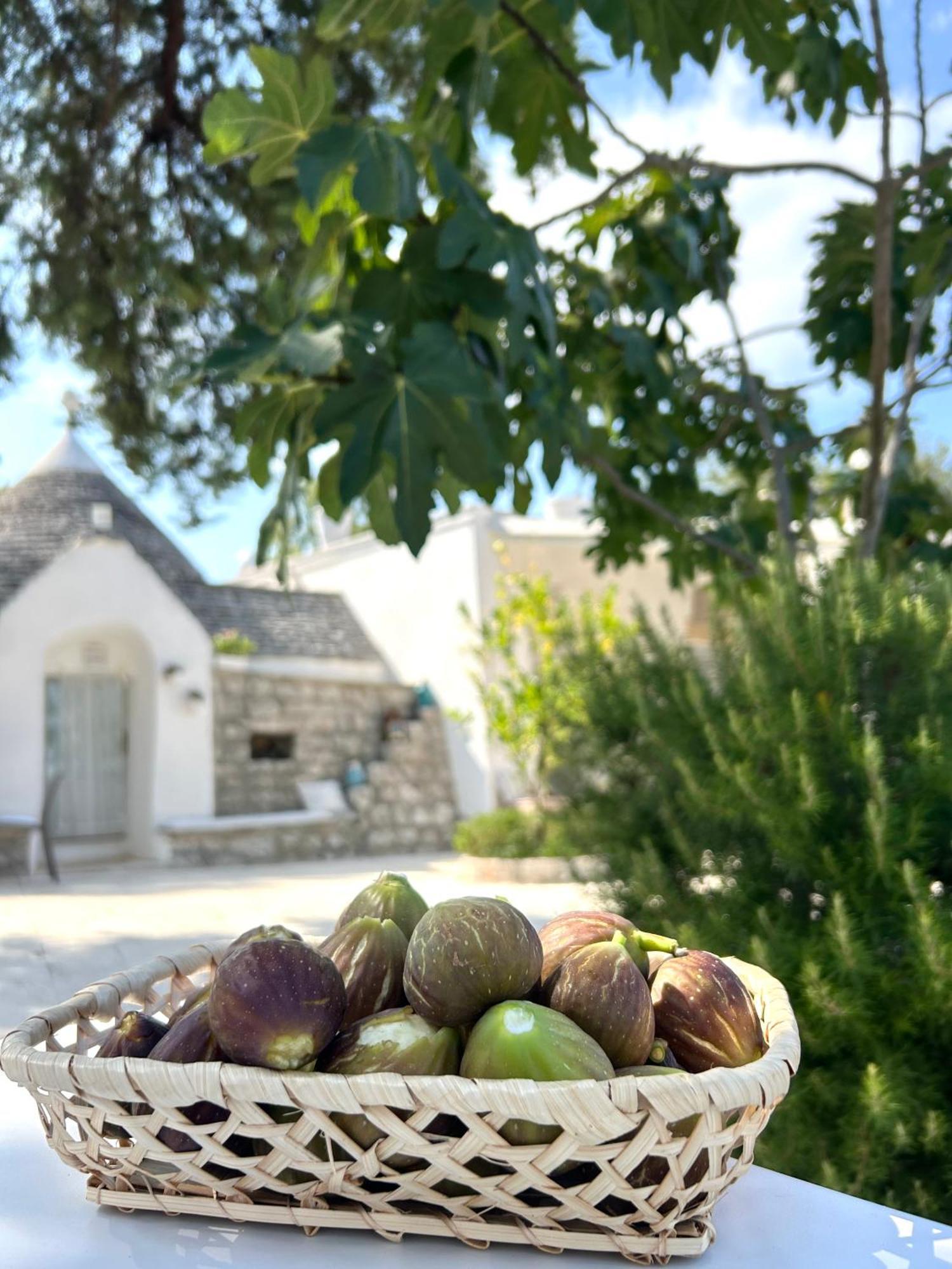 Bed and Breakfast Il Trullo Di Simona Locorotondo Exterior foto